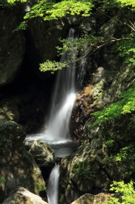 岩戸の滝の絶景写真。
